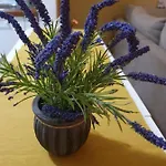 Apartman Lari